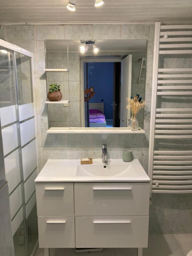 Gite Cosy 25 Min Lyon Vienne St Etienne Longes Екстер'єр фото